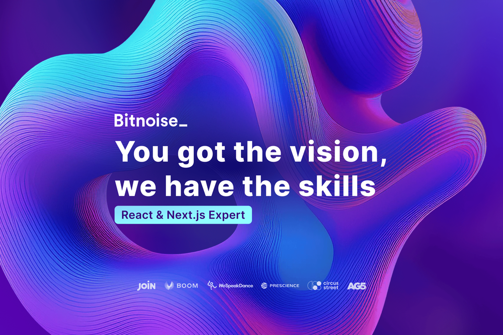 Bitnoise: Expert React & Next.js Frontend Engineering